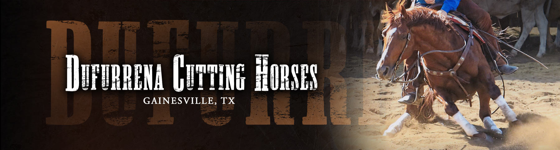 Dufurrena Cutting Horses