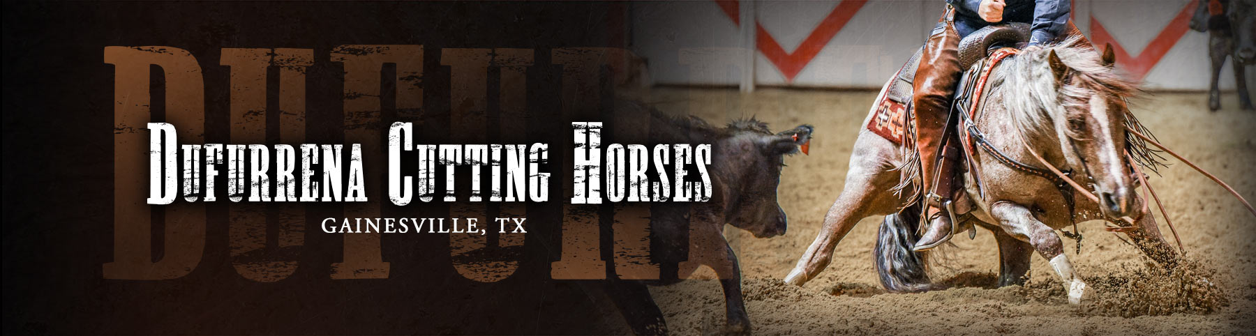 Dufurrena Cutting Horses